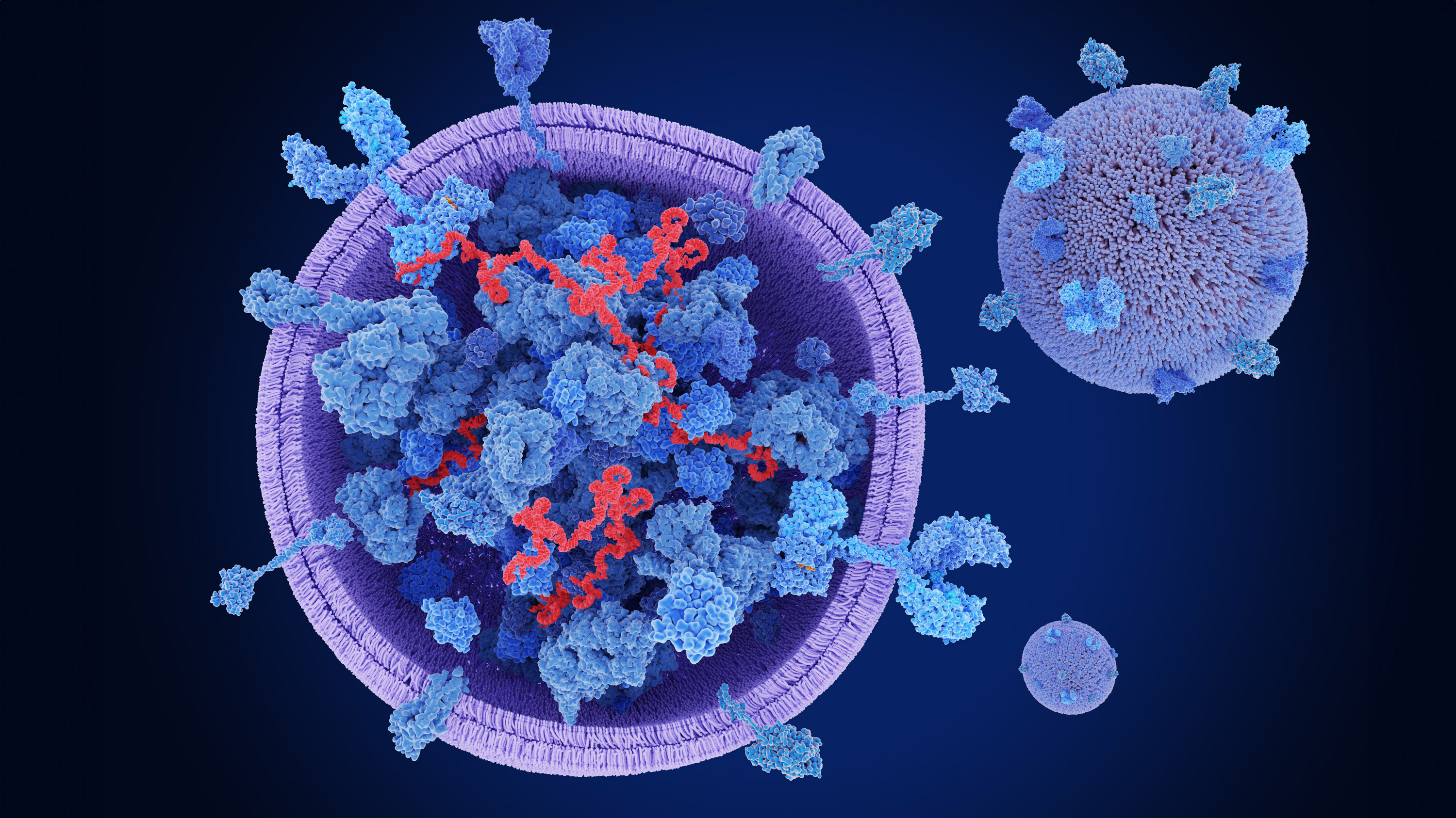 Exosomes for Skin: What They Are and Why They're Changing Anti-Aging Science