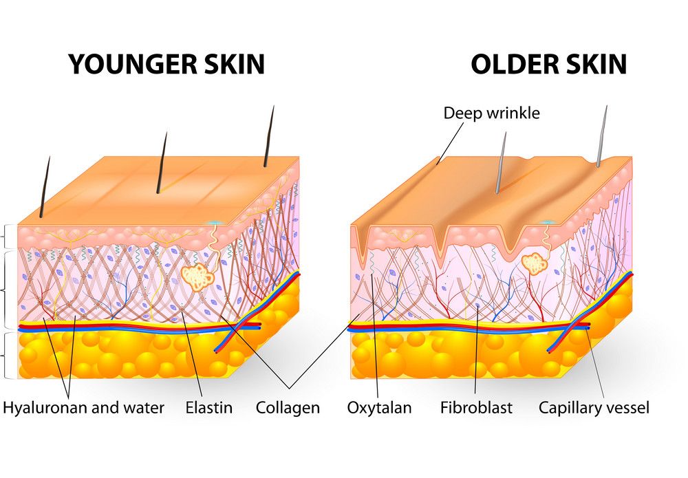 Does Retinol Build Collagen? The Science of Collagen Restoration